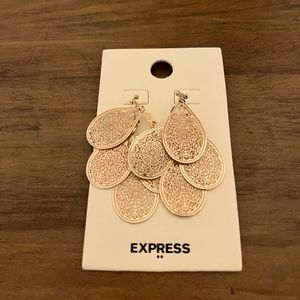 Brand New Express Earrings